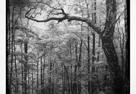 Ridge Top, Cave Run